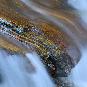 _DZ81091-1-DeNoiseAI.jpg