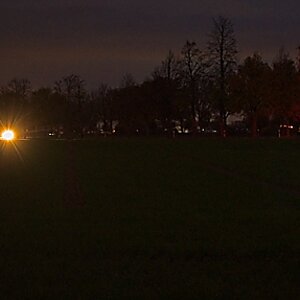 DSC_4315_NIKON Z 5_1200.jpg