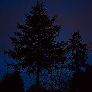 DSC_4301_NIKON Z 5_1200.jpg