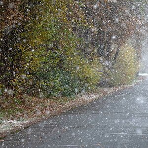 Der erste Schneem191124 - 1.jpg