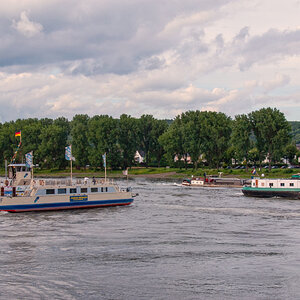 DSC_0549P_DxOPxl.jpg