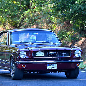 Fordmustang66.JPG