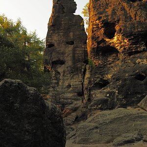 P5180473an.jpg