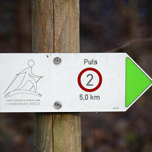 Puls 2.jpg