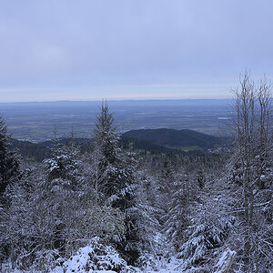 B500_Rheintal_Zf_DSC0132_18x12x150.jpg