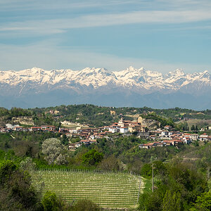 DSCF6335-1.jpg