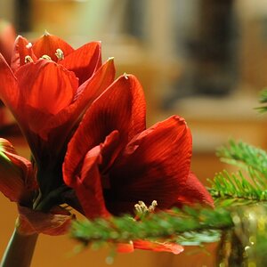 JKK_8492_1395.JPG