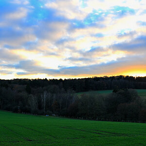 Z50_0160.JPG