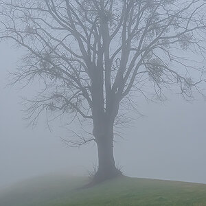 Nebel.jpg