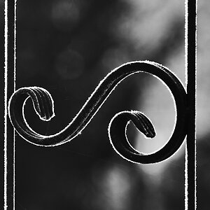 Gartenzaun BW 2.jpg