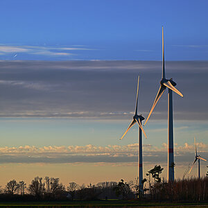 Z8A_0450t5l5fks45p1.jpg