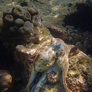 20140403-P4030366.jpg