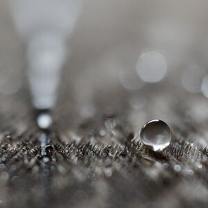 N6182768nikon.jpg