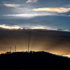 20240213-NZ6_9592-2.jpg
