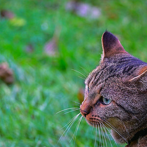 DSC_0128.jpg