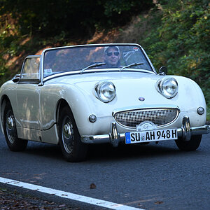 Austinhealey.JPG