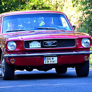 Mustang1.JPG