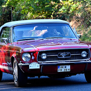 Mustang2.JPG