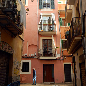 Palma.1ff.jpg