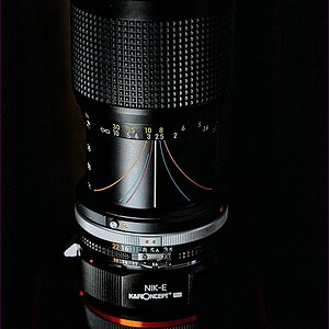 comp_235-105-Lumi.jpg