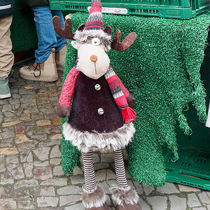 Rudolph Einauge.jpg