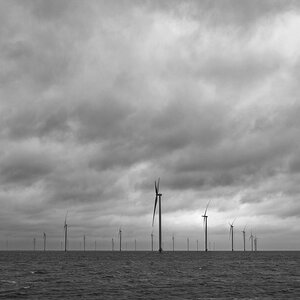 _DSC1292_DxOPASWxl.jpg