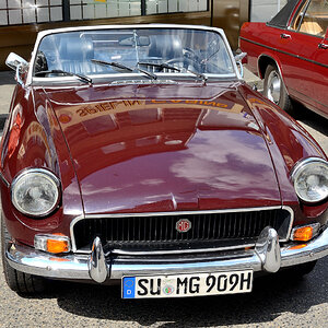 MG007.JPG