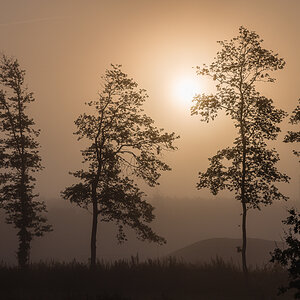 Sonnenaufgang im Nebel
