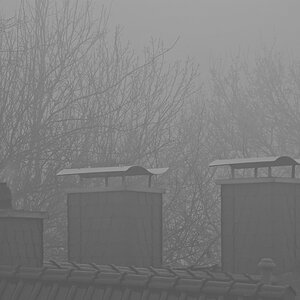 _DSC0923_DxOPxl.jpg