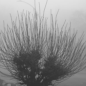 _DSC0917_DxOAxl.jpg