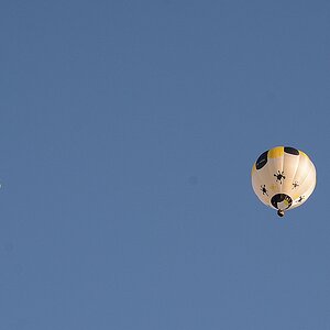 C71_2916.jpg
