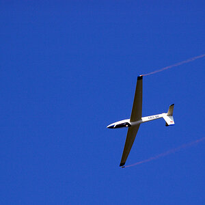 DSC_0119_1 1.jpg