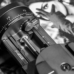 Studio-Fotosession-104.jpg