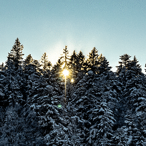 PC250007.gif