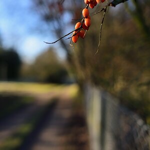 DSC_2869_00001n.jpg