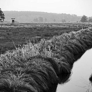 Seewiesen 1 BW.jpg