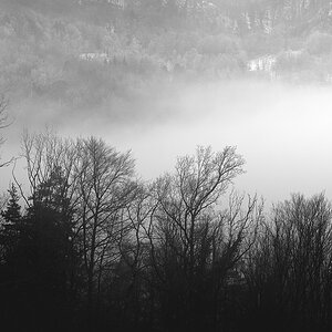 Nebel.jpg