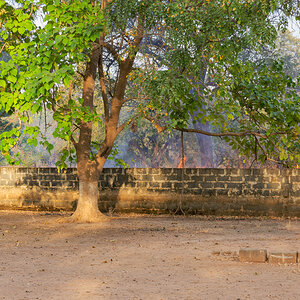2024-12-16 079 Bush Fire.jpg