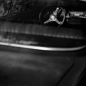 ZGF_9350_01.JPG