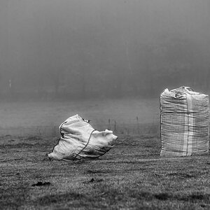 2 Säcke BW_2.jpg