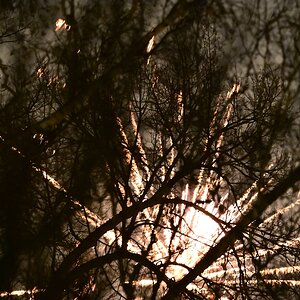 Feuerwerk3.jpg