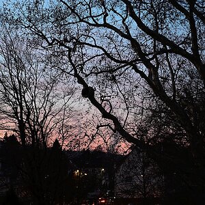 Abendstimmung.jpg