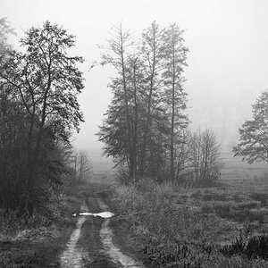 Der Weg in die Seewiesen BW_2.jpg
