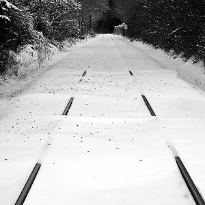 OF-DSC_9230sw.jpg