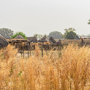 2024-12-19 006 Senegal Houses.jpg