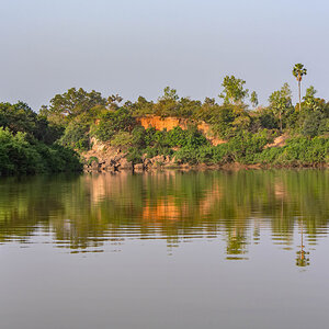 2024-12-21 063 Gambia River.jpg