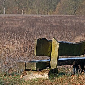 Bank an der Brache.jpg