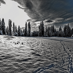 _1180009-Edit-Edit.gif
