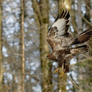 2025_000182_DxO.jpg