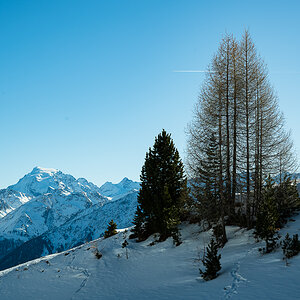 Weihnachten- Neujahr-Hochfilzen-Mustair-5165.jpg